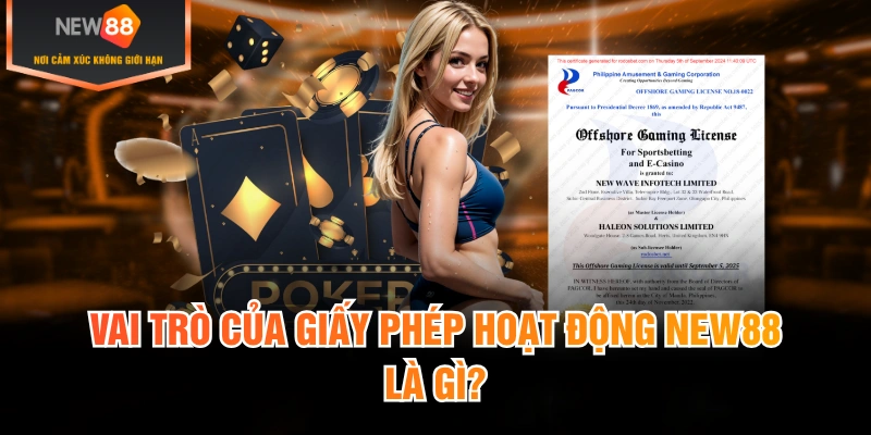 Ý nghĩa thực sự của giấy phép hoạt động New88