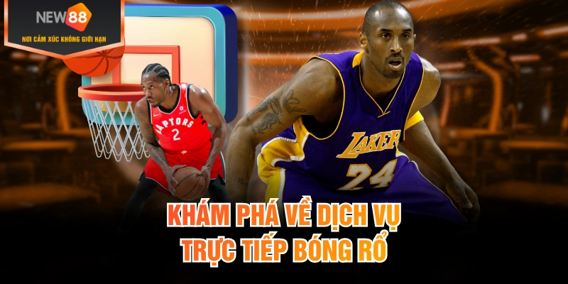 Khám phá về dịch vụ trực tiếp bóng rổ